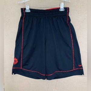 LeBron James Basketball Shorts. NIKE DRI-FIT.